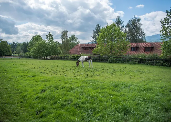 Nad Konirnou 아파트 Bystrice (Moravia-Silesia)